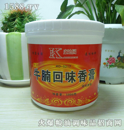 康迪园牛腩回味香膏（咸味香精）