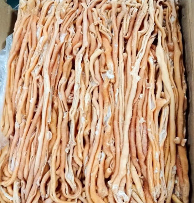С װ쳦