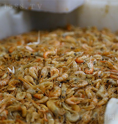 亿事达 虾 即食食品 熟食 海鲜 鲜香美味
