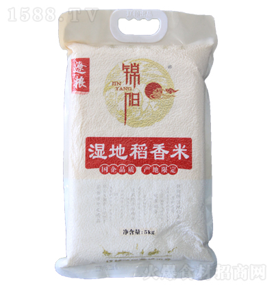 锦阳 湿地稻香米  优质稻米 大米 颗粒饱满 晶莹剔透 油光透亮 早餐粥 家用 5kg