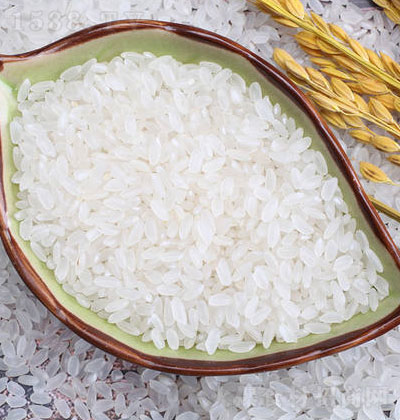 正大东北松花江长禾粒香5000克 晶润珍珠米 真空 生米 包装 优质大米