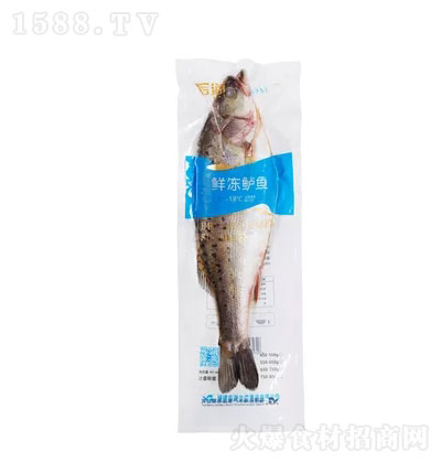 岳海冻鲈鱼240克 冷冻 海鲜 鲈鱼 水产 新鲜美味