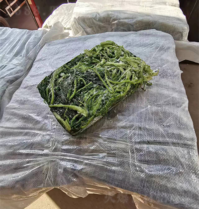 菜老蔫 速冻茴香 40斤一袋