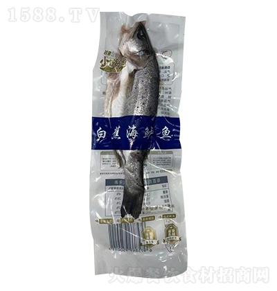 越强 小嗨渔 白蕉海鲈鱼  美味之选 产地直供 精挑细选 极速鲜冻
