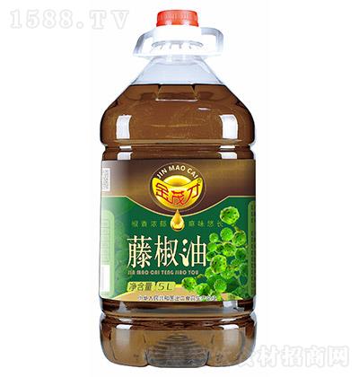 ï-ٽ-5L