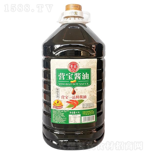 Ӫ һƷʽ4.9L