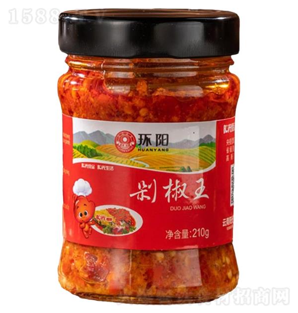  罷210g20ƿ죩
