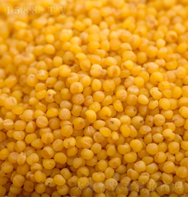  ƷζС25kg