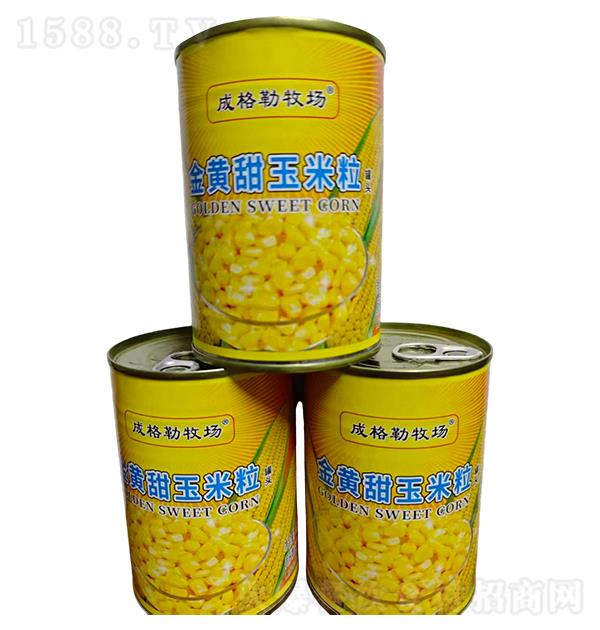 �ɸ������� �������������ͷ