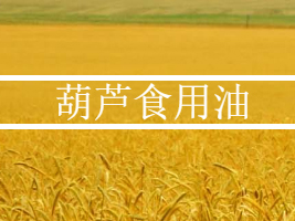 ѳؾó޹˾