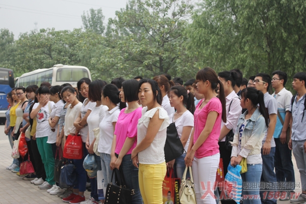 那些年 团队教给我的