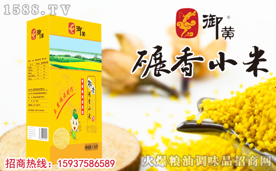 御黄碾香小米,秋冬养生必备!