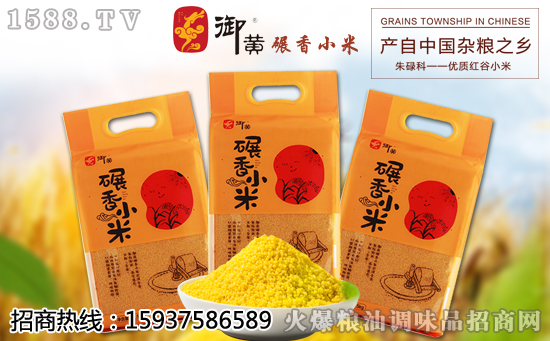御黄碾香小米,颗颗饱满,品质如一!