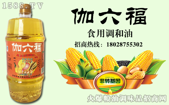 伽六福食用调和油,吃调和好油,享健康生活!