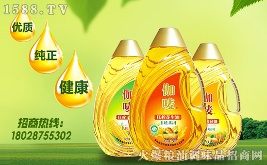 伽六福食用调和油,吃调和好油,享健康生活!
