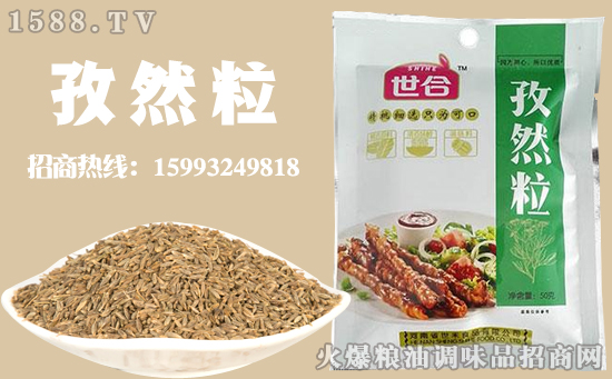 世合孜然粒,精挑细选,只为可口!