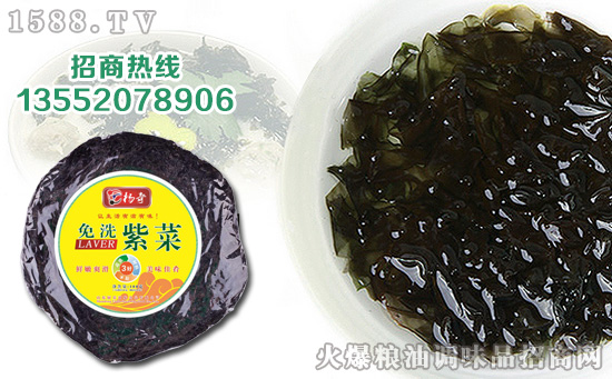 杨奇免洗紫菜,营养好菜,搭配!