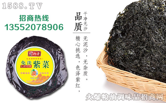 杨奇免洗紫菜,营养好菜,搭配!