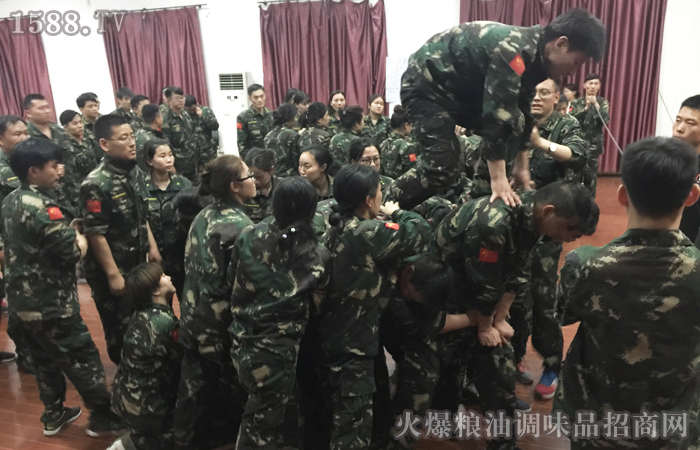 坚毅,责任,用心,全力以赴