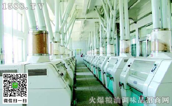 引进瑞士布勒公司磨粉机