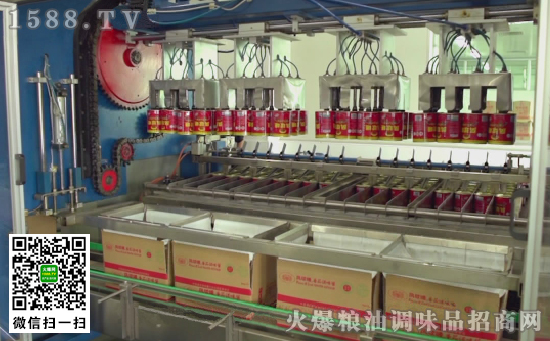 凤球唛番茄酱自动化生产线