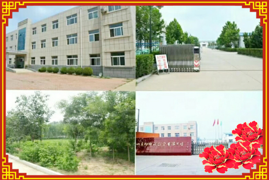 【东先生物科技】张总携全体员工恭祝大家新年快乐!狗年行大运!