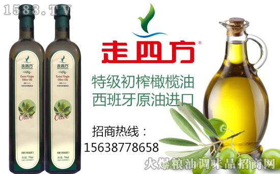 走四方特级初榨橄榄油,西班牙原油进口!“走四方”送健康!