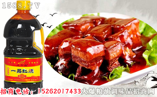 红烧菜系就用龙头山一品红烧酱汁,下饭,百吃不厌!