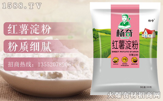 杨奇红薯淀粉,鲜香四溢,过口难忘!