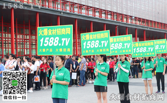 一如既往宣传推广,火爆招商效果为王!火爆餐饮食材网征战2019冷冻食品产业大会!