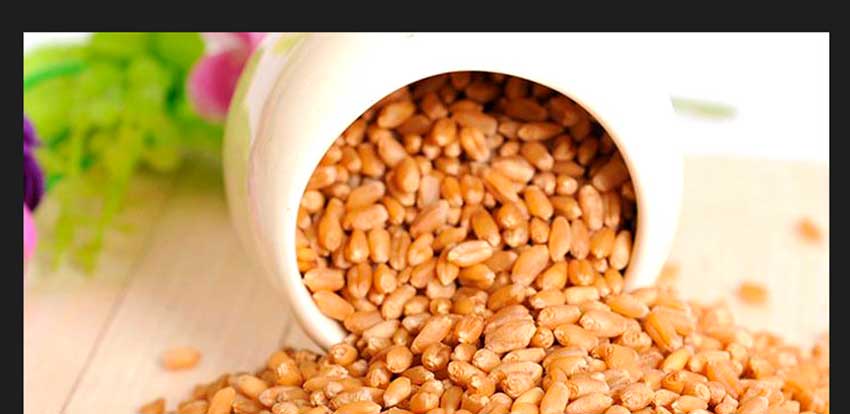 �����к���ʳƷ���Ӳ�Ʒ�ֲ�