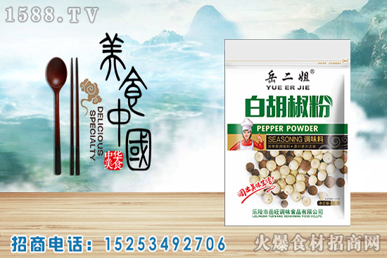 同样是胡椒粉,选黑胡椒粉还是白胡椒粉?岳二姐白胡椒粉,味道更浓,增香提鲜!