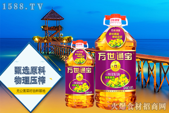 万世通宝一级菜籽油,地道菜籽油口感,烹饪菜肴味道好!