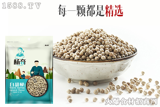 杨奇白胡椒,轻松驾驭多种美食,为您的生活添滋加味!