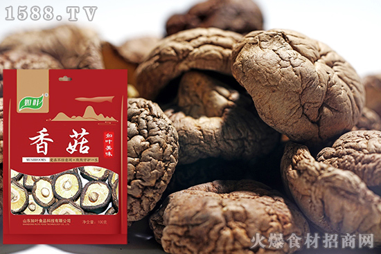 如叶香菇,新鲜易泡发,口感劲道有肉感!