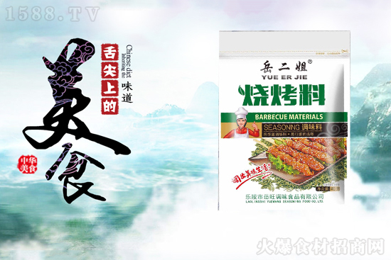 岳二姐烧烤料,味香浓郁,挑动你的味蕾!