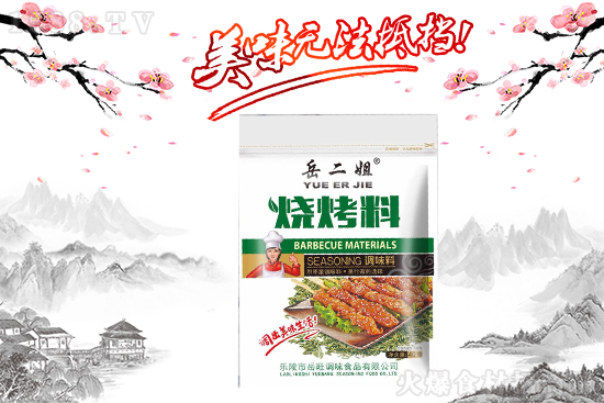 岳二姐烧烤料,味香浓郁,挑动你的味蕾!