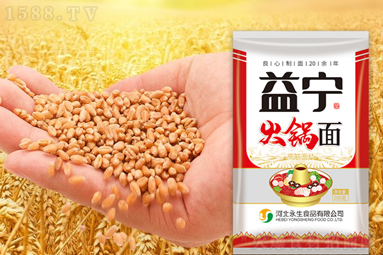 益宁火锅面,高筋面片,风味更佳!