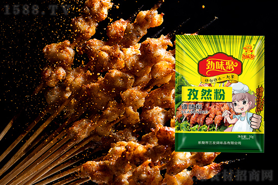 劲味聚孜然粉,美食随意做,玩转百变花样!