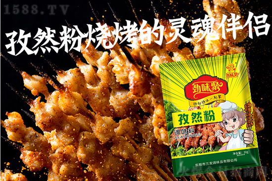 劲味聚孜然粉,美食随意做,玩转百变花样!