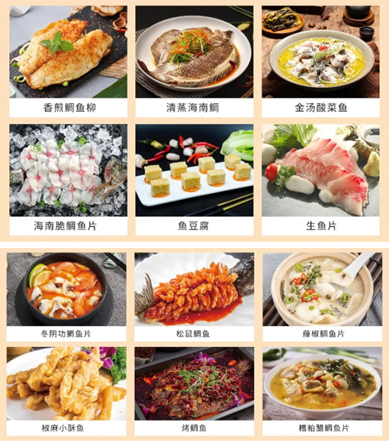郑州餐饮展精彩活动——海南鲷推介会篇