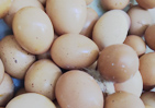 2022年5月28日我国各地鸡蛋市场价格如何？