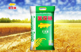 金龙鱼生态稻