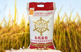 良记金轮泰国香米