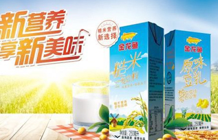 金龙鱼原味豆乳饮料