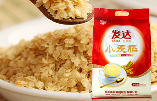 发达小麦胚
