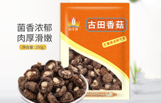 白子洋香菇