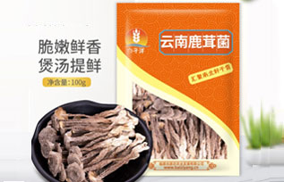 白子洋鹿茸菌
