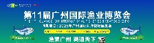2025沩