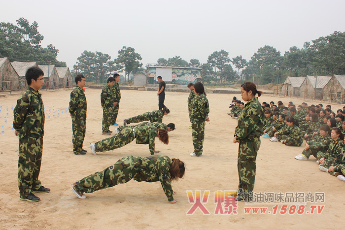 组建团队